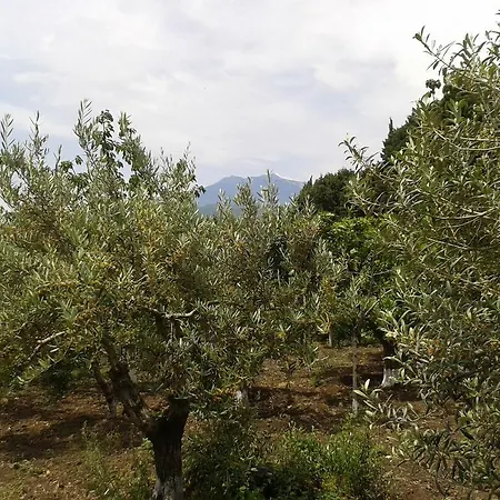 Etna